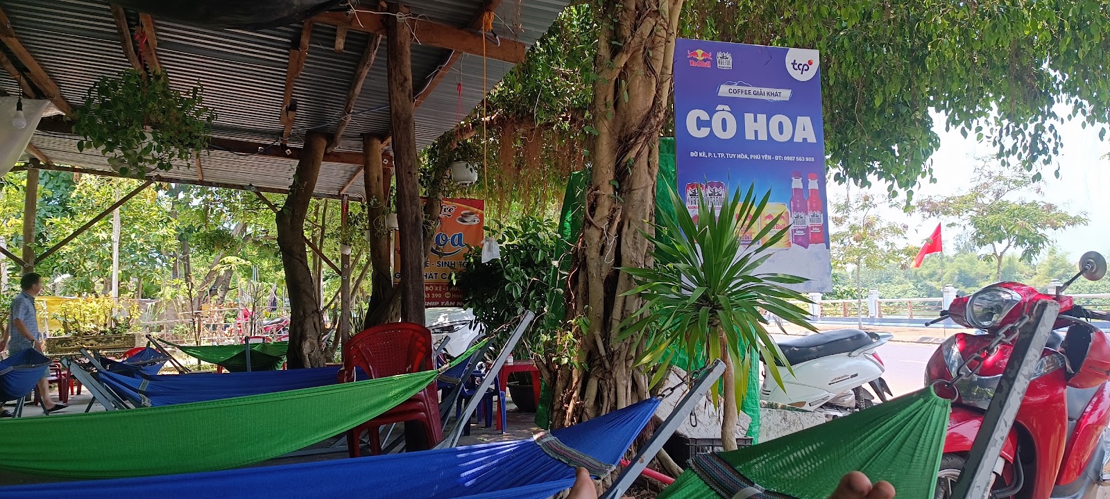 Cafe Hoa chân dài